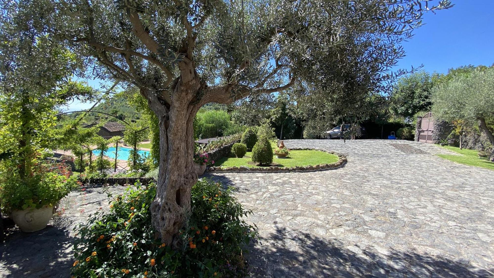 Il Palmento Dell'Etna Villa Трекастани Екстериор снимка